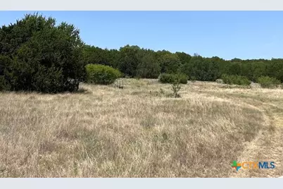 1580 County Road 2113 Road, Lometa, TX 76853 - Photo 13