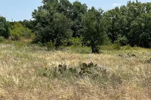 1580 County Road 2113 Rd, Lometa, TX 76853 - Photo 17