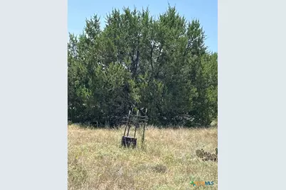 1580 County Road 2113 Road, Lometa, TX 76853 - Photo 33