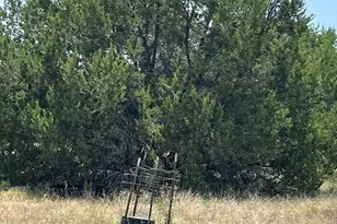 1580 County Road 2113 Rd, Lometa, TX 76853 - Photo 33