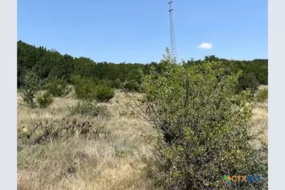 1580 County Road 2113 Road, Lometa, TX 76853 - Photo 15