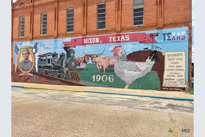 806 E 6th Street, Nixon, TX 78140 - Photo 35
