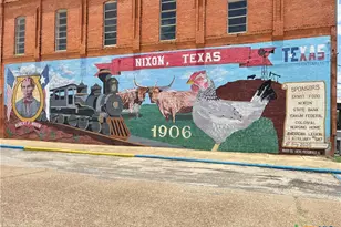 806 E 6th St, Nixon, TX 78140 - Photo 35