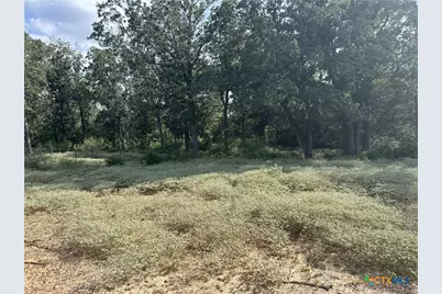 240 Private Road 4601 Road, Waelder, TX 78959 - Photo 5