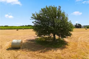 206 Cr 287, Marlin, TX 76661 - Photo 11