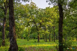 8606 Star Hollow Rd, Lipan, TX 76462 - Photo 11