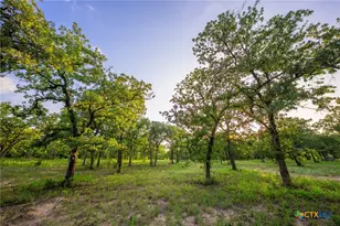 8606 Star Hollow Rd, Lipan, TX 76462 - Photo 5