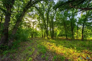 8606 Star Hollow Rd, Lipan, TX 76462 - Photo 29