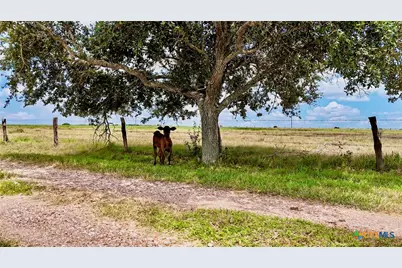 4228 County Road 256, Moulton, TX 77975 - Photo 43