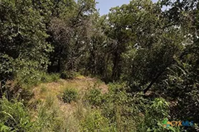 Tbd Post Oak Rim, Bastrop, TX 78602 - Photo 5