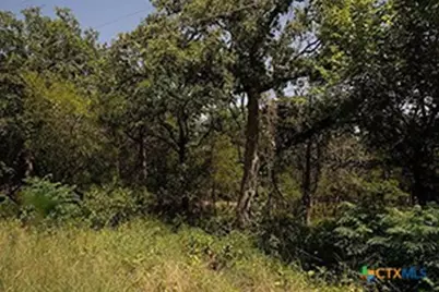 Tbd Post Oak Rim, Bastrop, TX 78602 - Photo 7