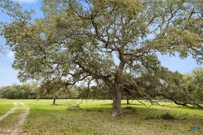 778 County Road 123, Edna, TX 77957 - Photo 9