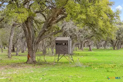 778 County Road 123, Edna, TX 77957 - Photo 11