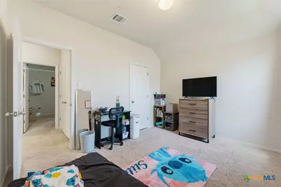 120 Blue Agate Court, Jarrell, TX 76537 - Photo 21