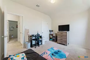 120 Blue Agate Ct, Jarrell, TX 76537 - Photo 21