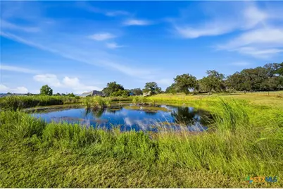 1413 Country Hills Drive, La Vernia, TX 78121 - Photo 9