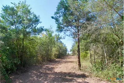 Tbd Cr 426, Waelder, TX 78959 - Photo 21