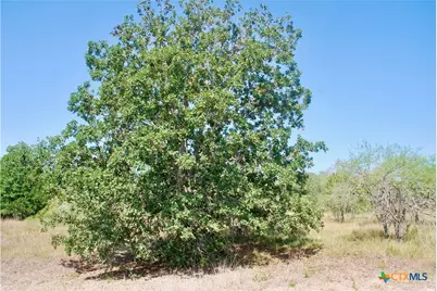 Tbd Cr 426, Waelder, TX 78959 - Photo 29