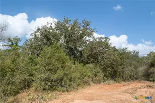 3695 E Hwy 97, Gonzales, TX 78629 - Photo 5