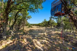 445 Beadle Rd, Gatesville, TX 76528 - Photo 35