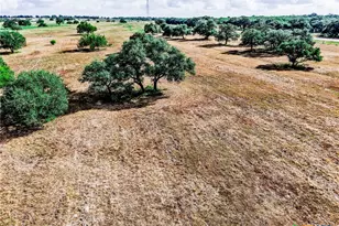 0000 US Hwy 183, Cuero, TX 77954 - Photo 13