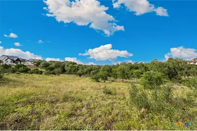 364 Butternut Way, New Braunfels, TX 78132 - Photo 3