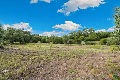 364 Butternut Way, New Braunfels, TX 78132 - Photo 1