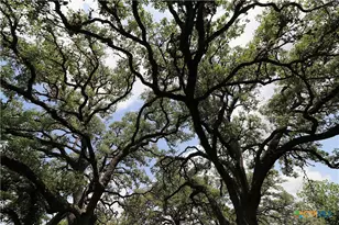 229 E Fannin St, Goliad, TX 77963 - Photo 41