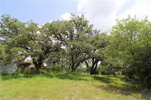 229 E Fannin St, Goliad, TX 77963 - Photo 39