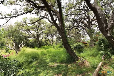 229 E Fannin Street, Goliad, TX 77963 - Photo 35