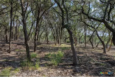 Tract 4 Mount Olive School Road, Wimberley, TX 78676 - Photo 13