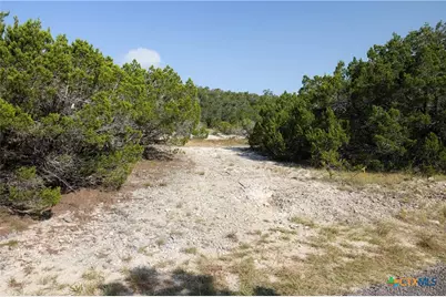 Tract 4 Mount Olive School Road, Wimberley, TX 78676 - Photo 21