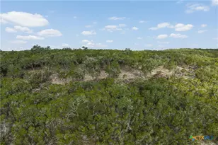 Tract 4 Mount Olive School Rd, Wimberley, TX 78676 - Photo 7