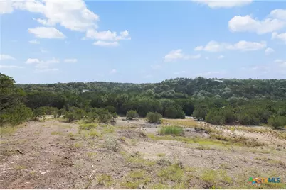 Tract 4 Mount Olive School Road, Wimberley, TX 78676 - Photo 9
