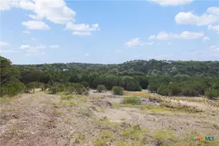 Tract 4 Mount Olive School Rd, Wimberley, TX 78676 - Photo 9