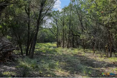 Tract 4 Mount Olive School Road, Wimberley, TX 78676 - Photo 17