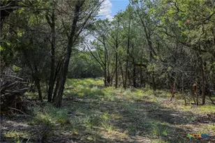 Tract 4 Mount Olive School Rd, Wimberley, TX 78676 - Photo 17