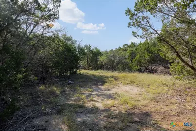 Tract 4 Mount Olive School Road, Wimberley, TX 78676 - Photo 11