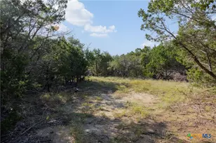 Tract 4 Mount Olive School Rd, Wimberley, TX 78676 - Photo 11