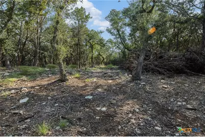 Tract 4 Mount Olive School Road, Wimberley, TX 78676 - Photo 15