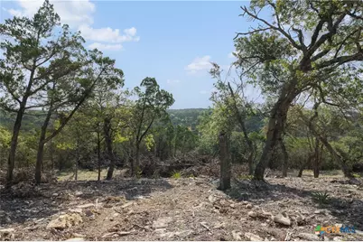 Tract 4 Mount Olive School Road, Wimberley, TX 78676 - Photo 5