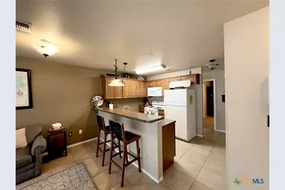730 E Mather Street #D301, New Braunfels, TX 78130 - Photo 3