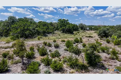 988 Earle Oak Avenue, Bulverde, TX 78163 - Photo 19