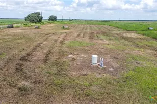 Tbd Cr 393, Louise, TX 77455 - Photo 9