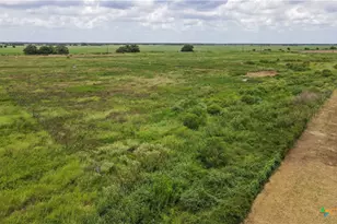 Tbd Cr 393, Louise, TX 77455 - Photo 7