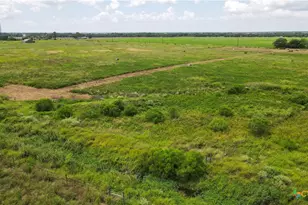 Tbd Cr 393, Louise, TX 77455 - Photo 5
