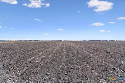 Tbd Fm 1331, Thrall, TX 76578 - Photo 21