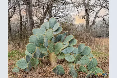 5912 Fm 1104, Kingsbury, TX 78638 - Photo 3