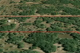 2643 Co Rd 453, Midfield, TX 77458 - Photo 3