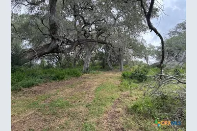 1102 Fm 443, Yoakum, TX 77995 - Photo 13